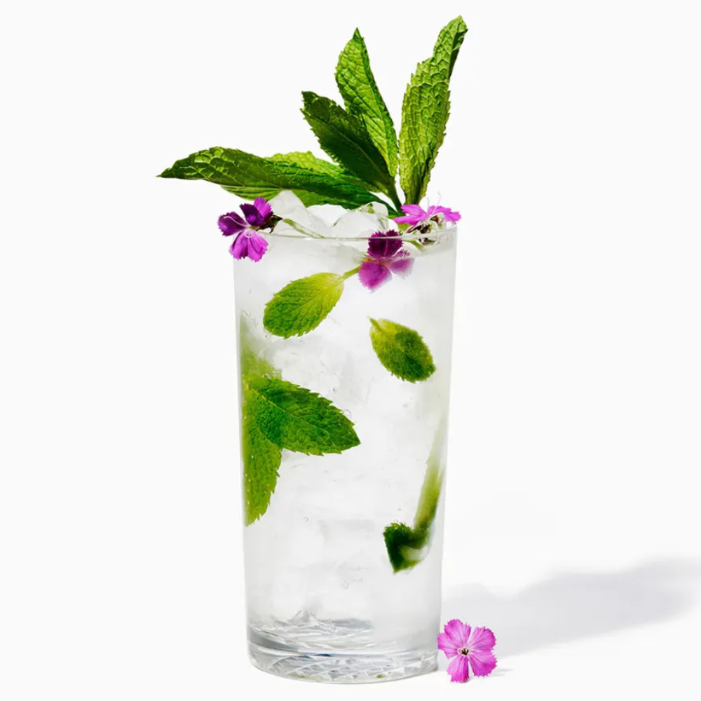 TOSSWARE 保特環保高球杯 14oz 24入 TOSSWARE Reserve 14oz Highball Glasses